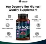 Sea Moss Tablets Extract High Strength 4000mg - Sea Moss Supplement 120 Tablets (not sea Moss Capsule) High Potency - UK Made - Vegan - Non GMO - Image 4