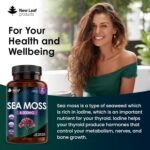 Sea Moss Tablets Extract High Strength 4000mg - Sea Moss Supplement 120 Tablets (not sea Moss Capsule) High Potency - UK Made - Vegan - Non GMO - Image 5