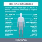 NaturesPlus Collagen Peptides Capsules - Sustainable Hydrolysed Collagen Supplement, 6 Major Types of Collagen - Non-GMO, Gluten Free - 120 Capsules - Image 4