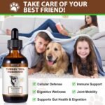 Turkey Tail Mushroom for Dogs, Dogs Turkey Tail Mushroom Liquid Supplement with Probiotics & Turmeric, Support Immune, Digestive & Joint, Faster Absorption - Bacon Flavor (120ML) - Image 3