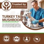 Turkey Tail Mushroom for Dogs, Dogs Turkey Tail Mushroom Liquid Supplement with Probiotics & Turmeric, Support Immune, Digestive & Joint, Faster Absorption - Bacon Flavor (120ML) - Image 7