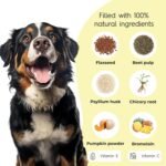 Scooch Anal Gland Supplement for Dogs 60 Chews (2-Month Supply) | Fibre & Pumpkin Support for Gut Health & Digestion | Relieves Scooting & Odour | Natural, Plant-Based, Vet-Formulated | For All Breeds - Image 3