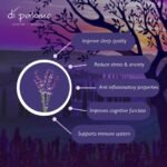 Di Palomo Vegan Tuscan Dreams Pillow Mist 100ml | Pillow Spray for Deep Sleep Aid & Anxiety Relief | Chamomile & Lavender Pillow Spray Sleep | Scented Mist with Chamomile & Lavender Essential Oils - Image 5