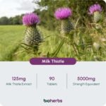 Milk Thistle High Strength 5000mg - 80% Silymarin (125mg Extract) by BioHerbs | 90 One-Per-Day Milk Thistle Tablets (3-Month Supply) - Image 3