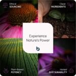 Milk Thistle High Strength 5000mg - 80% Silymarin (125mg Extract) by BioHerbs | 90 One-Per-Day Milk Thistle Tablets (3-Month Supply) - Image 4