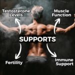Nutripact Testosterone Support Supplement with Tribulus Terrestris, Ashwagandha, Maca Root, Zinc, Magnesium, L Arginine, Ginseng - Testosterone Supplements for Men - 60 Vegan Capsules - Alpha Pact - Image 4