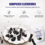 Elderberry Juice Powder Supports Healthy Immune System, Natural & Vegan Pure Sambucus Nigra Extract Non-GMO, Gluten-Free No Sugar Added Convenient Travel 30 sachets 1 Count (Pack of 30) - Image 5
