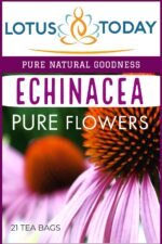 Echinacea, Pure Echinacea flower Herbal Tea 21 Tea bags - Image 4