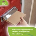 Lindens - Iron 14mg Tablets - 360 Vegan Tablets - UK Made - Reduce Tiredness, Increase Energy | Creates Healthy Red Blood Cells, Normal Oxygen Transportation | (12 Months Supply) - Image 5