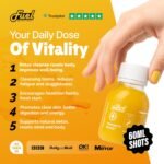 Fuel Station Ginger Turmeric Shots, 30 x 60ml, Powerful & Fiery Immunity Boosting, 100% Natural Cold Pressed Shots, Reduces Bloating, Improves Digestion & Energising Pick-Me-Up, No Preservatives - Image 3