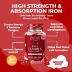 Kids Iron Gummies, 30 Count - Vegan, Sugar-Free, & Chewable with Vitamin C for Immune & Energy Support - Perfect for Picky Eaters & Children 3+ - Strawberry Flavor, 1-Month Supply - Image 3