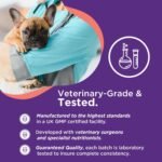 RenaSan Dog Probiotic, Digestion & Fibre (108g) – improve bowel function, stool quality, supports immunity, improves health, easy to administer powder, created by senior vets & nutritionists - Image 5