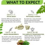 Moringa Capsules,90 Capsules 800mg Non-GMO and Gluten Free,Moringa Powder Capsules Supplement Supports Energy, Joint & Immunity & Gut Health - Image 4