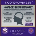 L-Theanine 250mg Capsules - NOOROPOWER Zen | 4-Month Supply | 120 Veg Caps | Pure Nootropic Exam Focus, Relaxation & Alpha Waves | GABA Green Tea | Theanin & L-Theanin | No Fillers | UK Made - Image 3