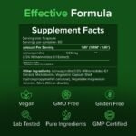 Ashwagandha Extract 500mg, 60 Capsules – Stress & Relaxation Support – Pure Ingredients, GMO & Gluten Free – GMP Certified Adaptogenic Herbal Supplement by Raw Powders - Image 5