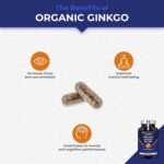 Organic Ginkgo Biloba - Memory & Concentration Complex - Boost Brain Performance - Organic Sage - 60 Vegan Capsules - Nutrimea - Made in France - Image 3