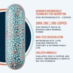 Zinc 30mg Microbeadlets with Copper | Highly Absorbable Zinc Bisglycinate & Orotate with 2mg Chelated Copper + Vitamin B6 | Vegan, Gluten-Free | Acne Support Supplements | 60 Capsules - Image 3