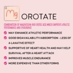 VITA PHARMA Magnesium Orotate 500mg 240 Tablets, Muscle & Nerve Function, Energy & Metabolism, Bone & Joint Health, Mental Calm & Relaxation - Image 5