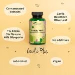 Vegavero Hawthorn Garlic Supplement | NO Additives | with Olive Leaf Extract | 4 mg Allicin | Lab-Tested & Non-GMO | 90 Capsules | Vegan - Image 3
