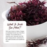 Zipvit Irish Sea Moss 4000mg, 120 Vegan Tablets, High Strength Superfood, Naturally Rich in Minerals, 2 Month Supply, Responsibly Sourced Seaweed, Eco Friendly Pouch - Image 3