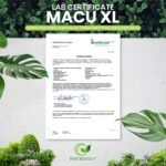 Macu XL - Lutein and Zeaxanthin Supplement - 6 Month Supply with Meso Zeaxanthin, Bilberry Extract, Vitamins A, B12 & Zinc, 180 Vegan Capsules - Eye Supplement for Vision Health – Eye Vitamins - Image 4