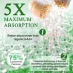 NAD+ Supplement 910mg, Boost NAD+ Levels with Nicotinamide Riboside, Support Cellular Energy & Anti-Aging 120 Capsules - Image 4