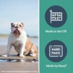 Herbal Dog Co HerbaCare Seasonal Soother Tonic Drops, 30ml - Immune Support for Dogs & Puppies - Dog Supplement - All-Natural, Made in UK - Image 5