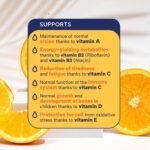 Multivitamin Liquid with Cod Liver Oil for Adults & Kids, Delicious Orange Flavour, Vitamins C, A, B2, B3, D, E & Omega-3, Boost Energy & Reduces Tiredness, Supports Immunity, 300ml - Image 5