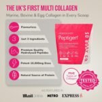SoBodyCo Unique 6 Types of Collagen Powder 300g, Collagen Supplements for Women, Pure Unflavoured Premium Hydrolysed, Peptides Powder for Hair Skin Nails Muscles - Image 4