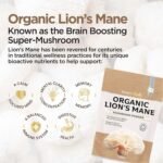Organic Lions Mane Mushroom Powder 200g - High Strength Full Spectrum Fruiting Body Mushroom Supplement to Support Brain & Mental Performance by Inner Vitality (Large) - Image 4
