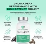 High Strength Shilajit Capsules, 60 x 600mg from 42,000mg Shilajit Resin, 2 Month Supply, 70:1 Extract, 60% Fulvic Acid, Pure Shilajit No Fillers - Energy, Stamina & Mood Support - Image 3