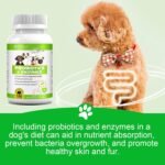 Probiotics for Dogs - Digestive Health and Immune Support, Dog Probiotics for Gut Health, 180 Tablets - Image 3