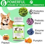 Probiotics for Dogs - Digestive Health and Immune Support, Dog Probiotics for Gut Health, 180 Tablets - Image 5