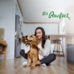 Pawfect Cheesecuits | Cheese biscuits with Spinach, Carrots, & Eggs for dogs | All-natural high-protein dog treats | Grain-free, hypoallergenic & rich in antioxidants (100g (3.53oz) - Image 8