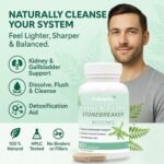 Chanca Piedra Stone Breaker Capsules | Kidney, Liver & Gallbladder Support – Dissolve, Flush & Cleanse | 900mg Per Serving (10:1 Extract Equiv. to 9000mg) Kidney Cleanse Supplement - 60 Capsules - Image 4