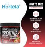 Creatine Gummies 5000mg – Creatine Monohydrate with B12 & L-Taurine | Strawberry Flavour Chewables for Men & Women | Energy, Muscle & Recovery Support | 120 Count (1 Month Supply) (Strawberry) - Image 5