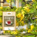 Ausha Organic Senna Tea Bags - 40 Bags - Constipation Relief - UK Certified Organic by Soil Association - Laxative, Caffeine Free, Digestion, Cleansing, Detox - Image 3