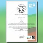 Ausha Organic Senna Tea Bags - 40 Bags - Constipation Relief - UK Certified Organic by Soil Association - Laxative, Caffeine Free, Digestion, Cleansing, Detox - Image 4