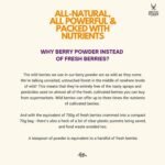 Berries Mixed Berry Powder 70g, Nutrient rich wild-grown berries from Nordic forests, 100% Natural, Delicious nutrient boost for breakfast bowls, smoothies, porridge, yogurt - Vegan - Image 5