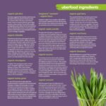 Uberfood - Organic and Vegan Superfood Blend - 1 Month Supply - 240grams - Natural flavour, no added flavourings or sugar. - Image 7