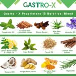 Nurse Harvey’s Gastro-x – Digestive Support Drops with Herbal Extracts – Sugar-Free/Liquid Supplement – 50ml - Image 4