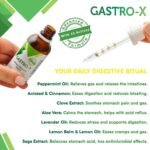 Nurse Harvey’s Gastro-x – Digestive Support Drops with Herbal Extracts – Sugar-Free/Liquid Supplement – 50ml - Image 5
