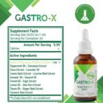Nurse Harvey’s Gastro-x – Digestive Support Drops with Herbal Extracts – Sugar-Free/Liquid Supplement – 50ml - Image 6