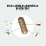 Sea Moss Complex 14,000mg Extract Including Bladderwrack & Burdock Root - 120 High Strength Capsules Providing 120 Day Supply - North Atlantic Irish Sea Moss Supplement - Vegan & UK Made - Image 6
