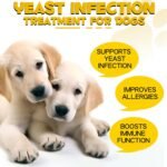 Yeast Infection Treatment for Dogs, Dog Yeast Infection Treatment for Itchy Dog Skin Relief, Allergy Relief, dog Ear Infections Drop for Immune Support, Safe & Natural - Bacon Flavor, 60ml - Image 5