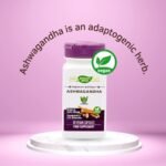 Nature's Way Ashwagandha Root Extract 500mg, Indian Ginseng, Ayurvedic Premium Extract, Standardised to 3.5% Withanolides, Suitable for Vegans and Vegetarians - 60 Capsules - Image 3