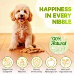ZENO Probiotics for Dogs Chews 150Pcs - Digestive, Gut Health & Diarrhea Support - UK Formula with Dog Probiotics, Enzymes & Natural Ingredients - Chicken - Image 3