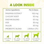 ZENO Probiotics for Dogs Chews 150Pcs - Digestive, Gut Health & Diarrhea Support - UK Formula with Dog Probiotics, Enzymes & Natural Ingredients - Chicken - Image 6