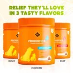 ZENO Probiotics for Dogs Chews 150Pcs - Digestive, Gut Health & Diarrhea Support - UK Formula with Dog Probiotics, Enzymes & Natural Ingredients - Chicken - Image 7