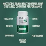 Orlo Focus & Memory Gummies – Nootropic Supplement for Adults with Lion’s Mane, L-Theanine, Phosphatidylserine, Spirulina, Vitamin B6 & B12 Methylcobalamin (60 Gummies) - Image 3